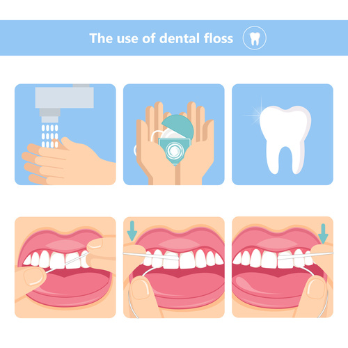 Oral Health For the Whole Family Guide to Flossing and Brushing
